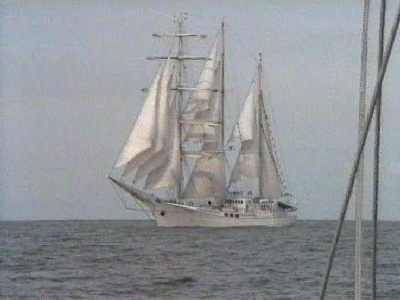 Grosegler