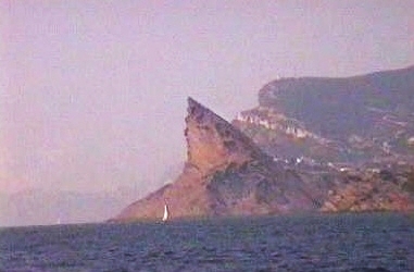 Haifischflosse